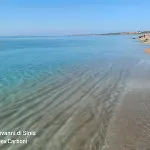 Di Alex